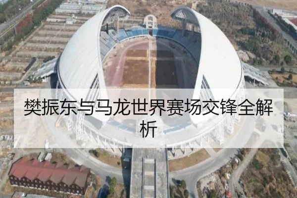 樊振东与马龙世界赛场交锋全解析
